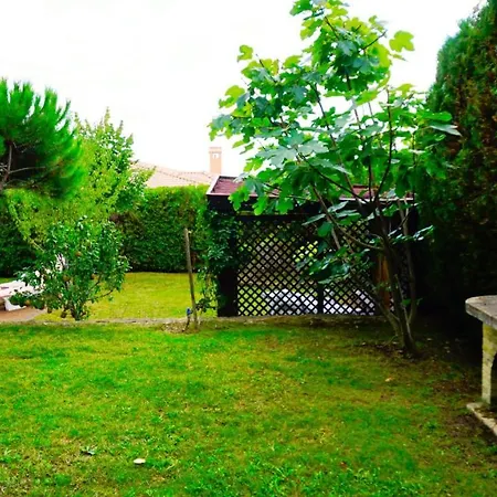 афина - Afina Vilă *