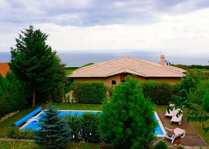 афина - Afina *